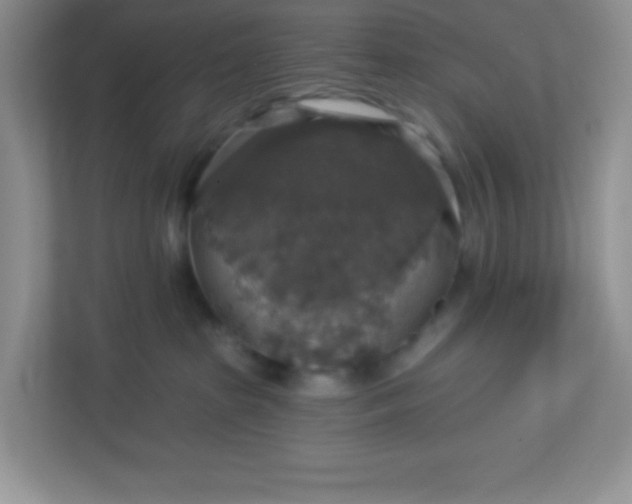 X0000113280285200909280958