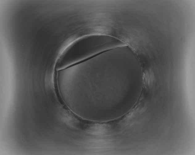 X0000113280292200909280957