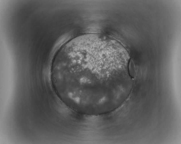 X0000113280293200909280957