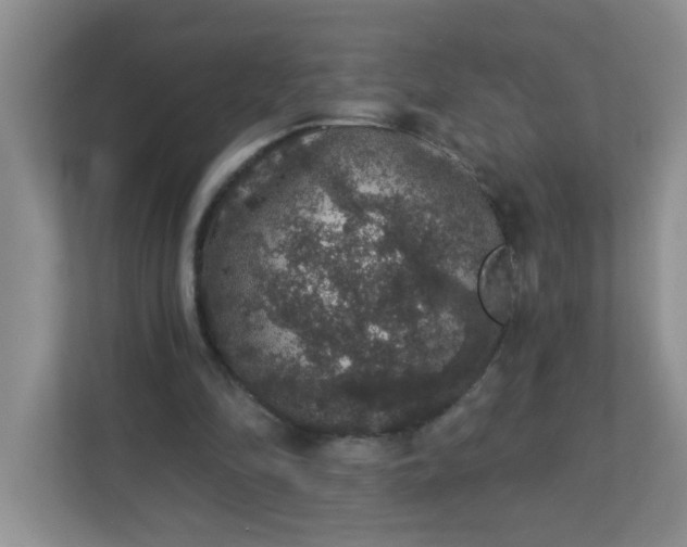 X0000113280294200909280957