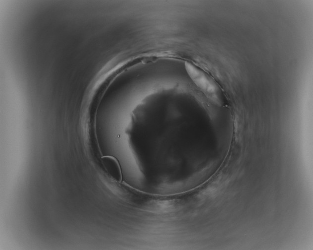 X0000113280295200909280957