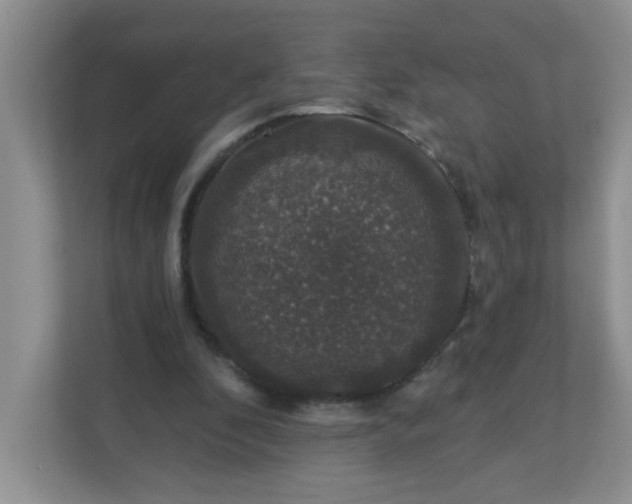 X0000113280296200909280957