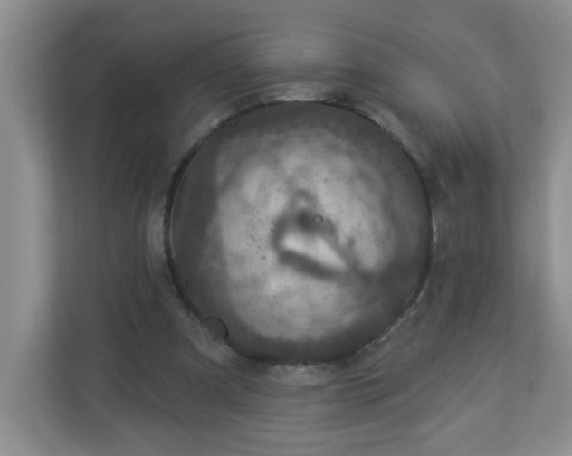 X0000113280297200909280957