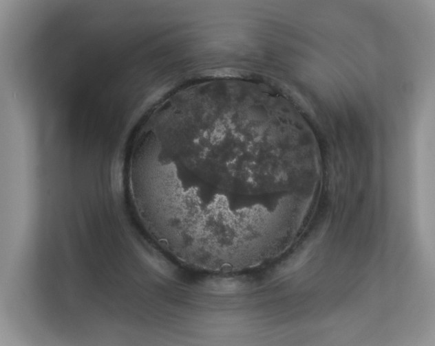 X0000113280299200909280957