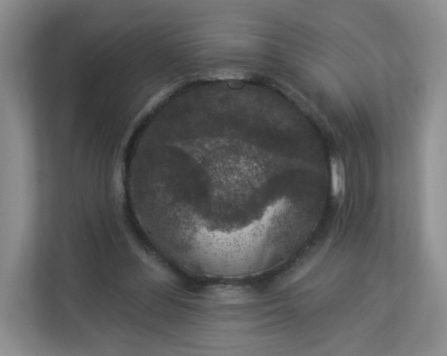 X0000113280300200909280957