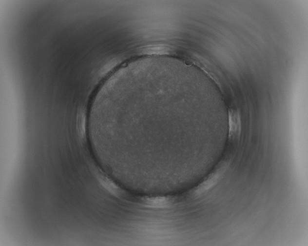 X0000113280301200909280957