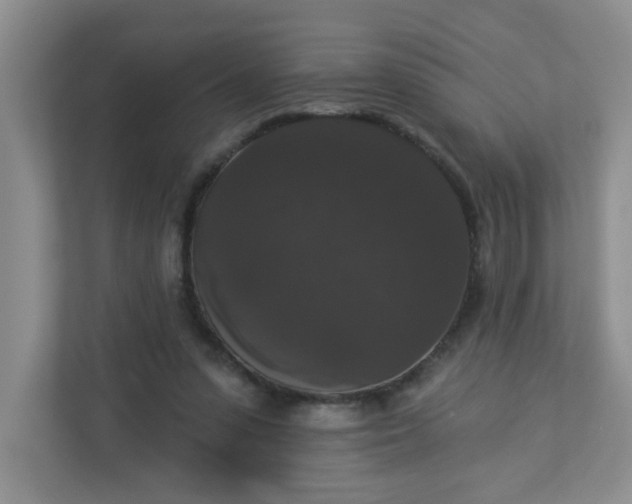 X0000113280303200909280957