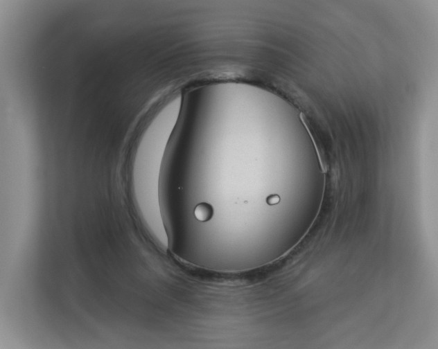 X0000113280304200909280957