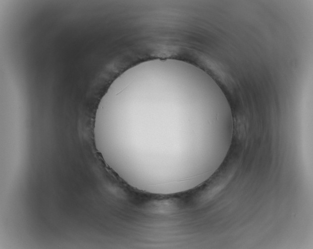 X0000113280307200909280957