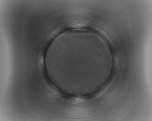 X0000113280308200909280957