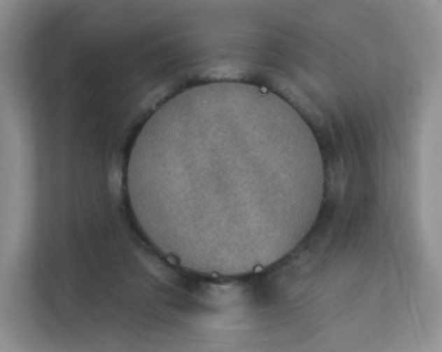 X0000113280309200909280957