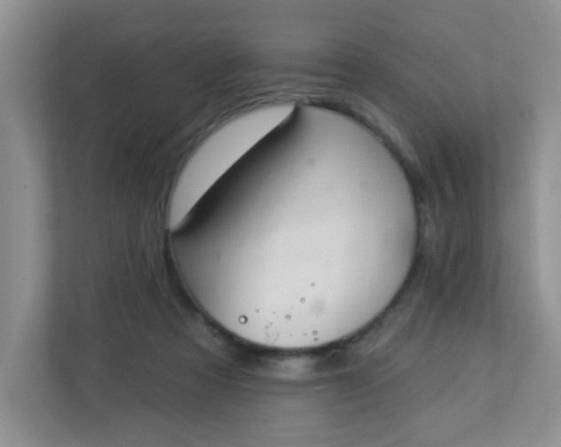 X0000113280313200909280957