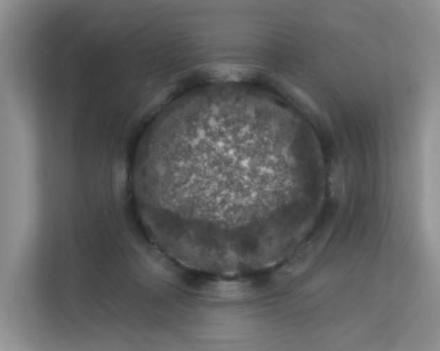 X0000113280314200909280957