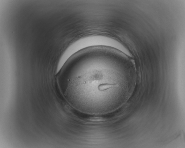 X0000113280316200909280957