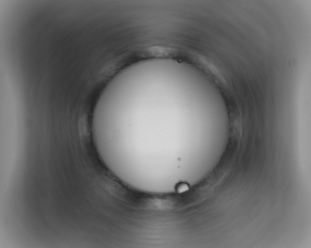 X0000113280317200909280957