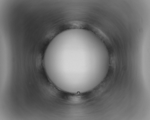 X0000113280318200909280957