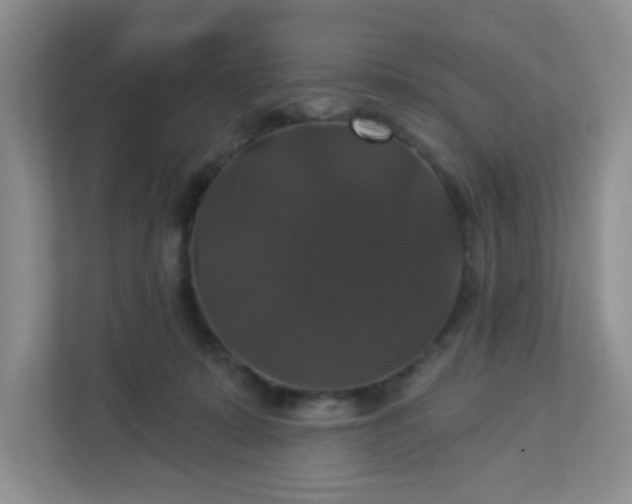 X0000113280319200909280957