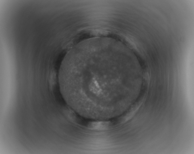 X0000113280323200909280957