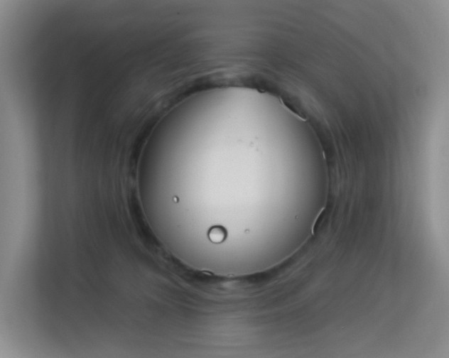 X0000113280324200909280957