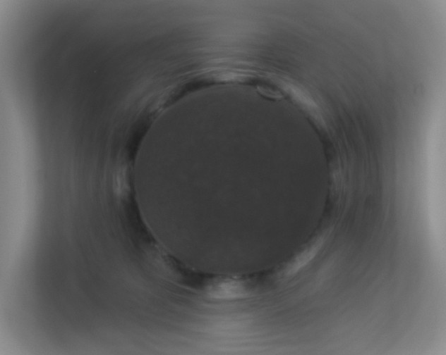 X0000113280325200909280957