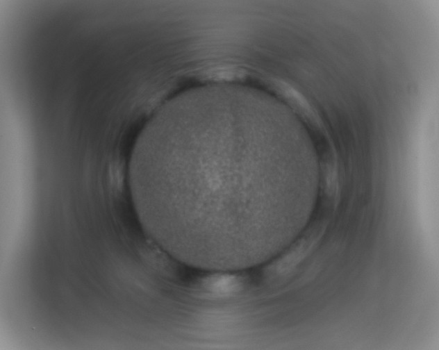 X0000113280326200909280957