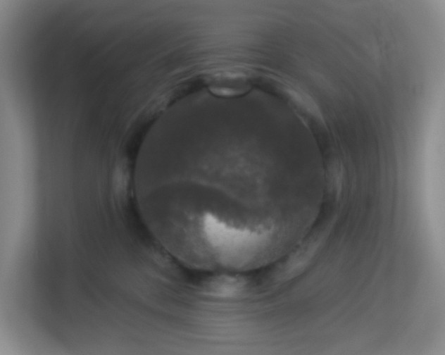 X0000113280328200909280957