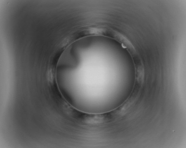 X0000113280329200909280957