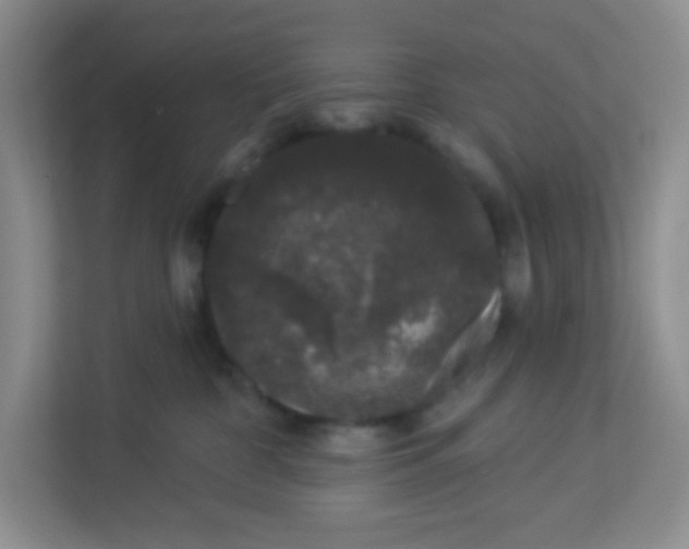 X0000113280332200909280957