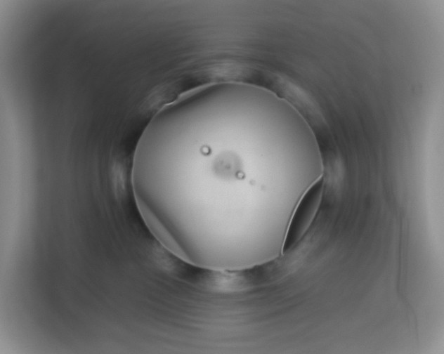 X0000113280333200909280957