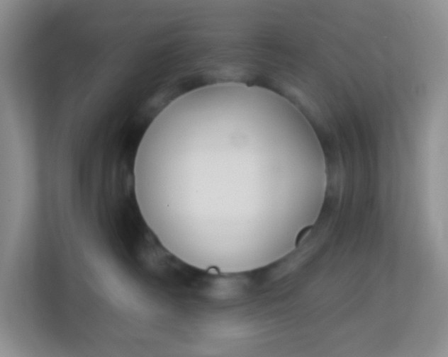 X0000113280334200909280957