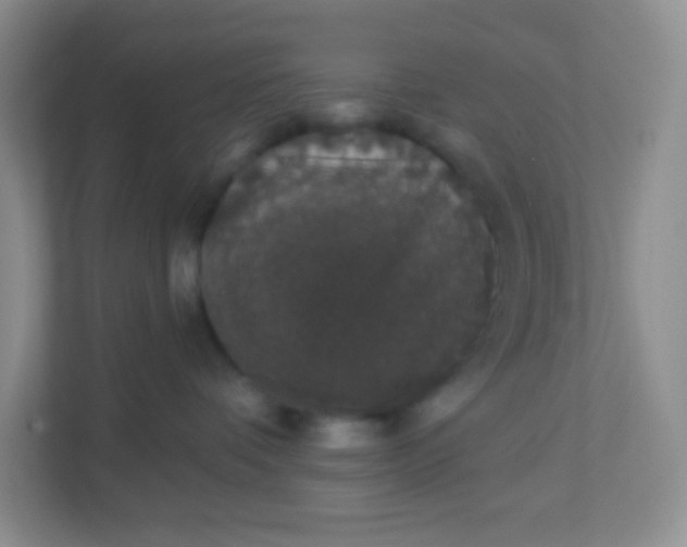 X0000113280336200909280957