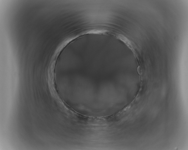 X0000113280337200909280956