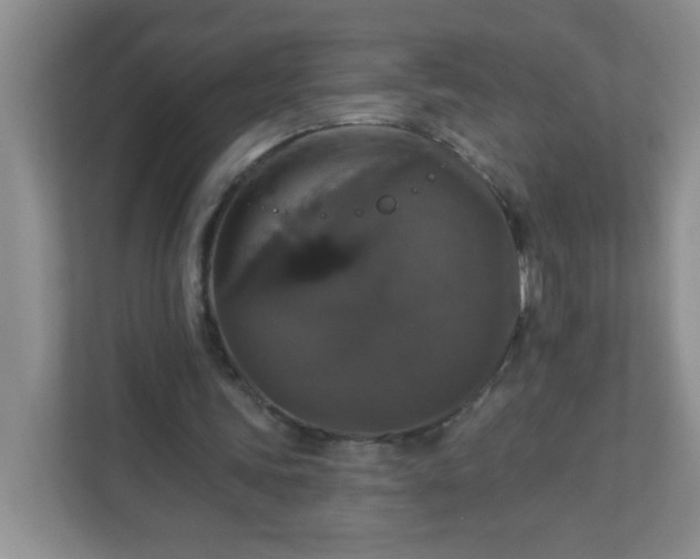 X0000113280339200909280956