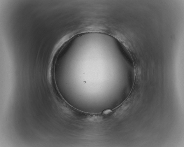 X0000113280340200909280956