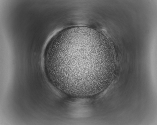 X0000113280342200909280956