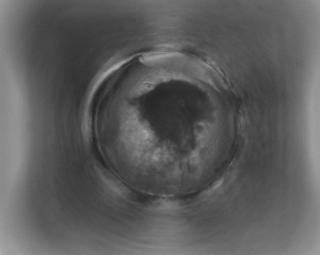 X0000113280343200909280956