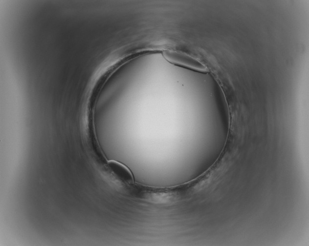 X0000113280344200909280956