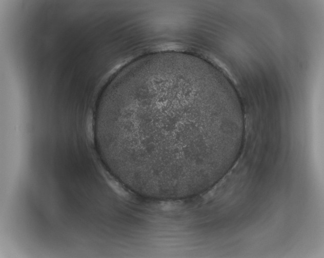 X0000113280345200909280956