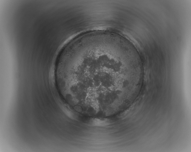 X0000113280346200909280956