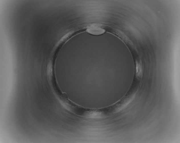 X0000113280348200909280956