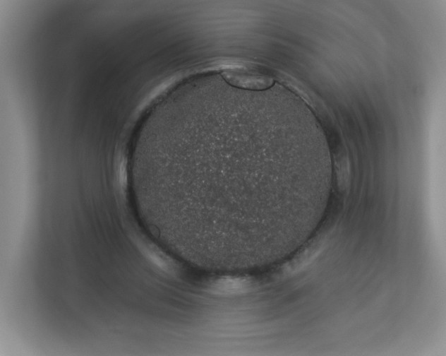 X0000113280350200909280956