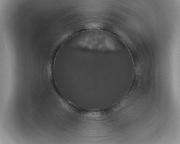 X0000113280353200909280956