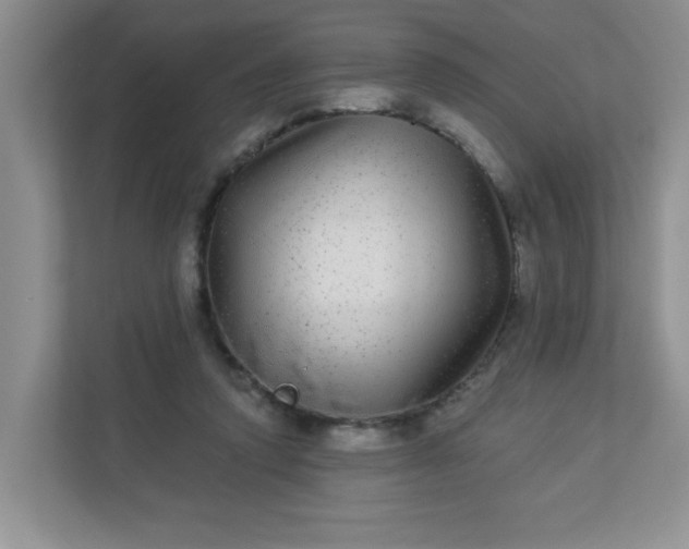 X0000113280354200909280956