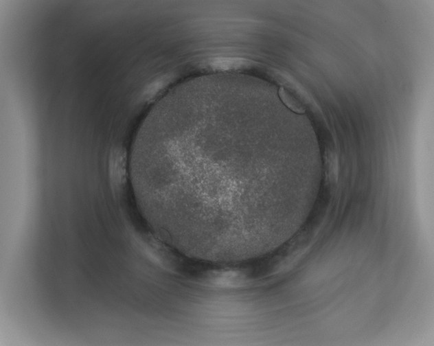 X0000113280356200909280956