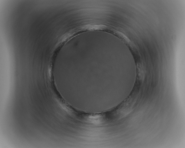 X0000113280357200909280956