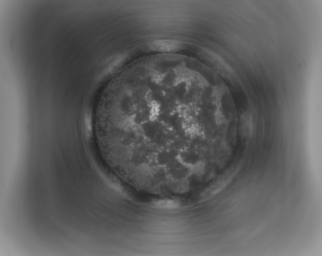 X0000113280358200909280956