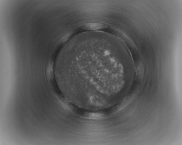 X0000113280360200909280956