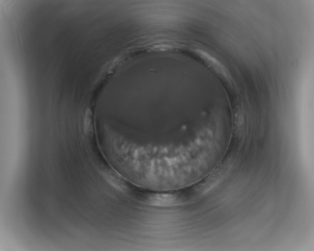 X0000113280361200909280956