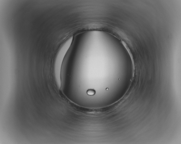 X0000113280362200909280956