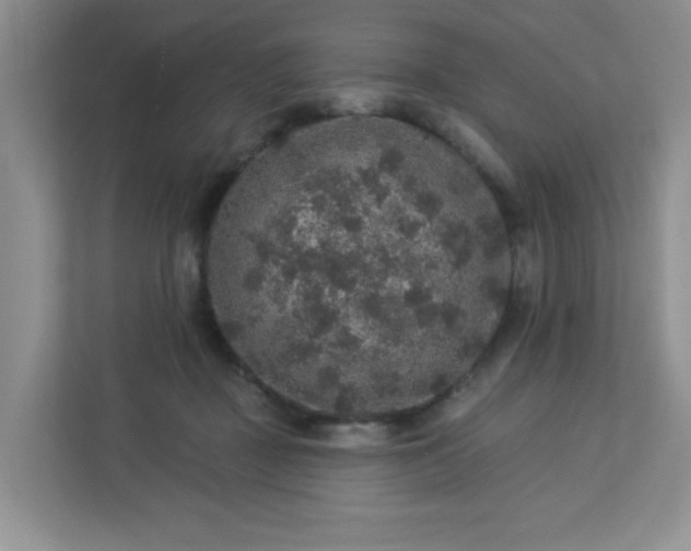 X0000113280363200909280956